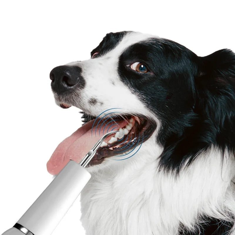 Ultrasonic Dog Toothbrush and Dental Care Kit for Effective Plaque and Tartar Removal