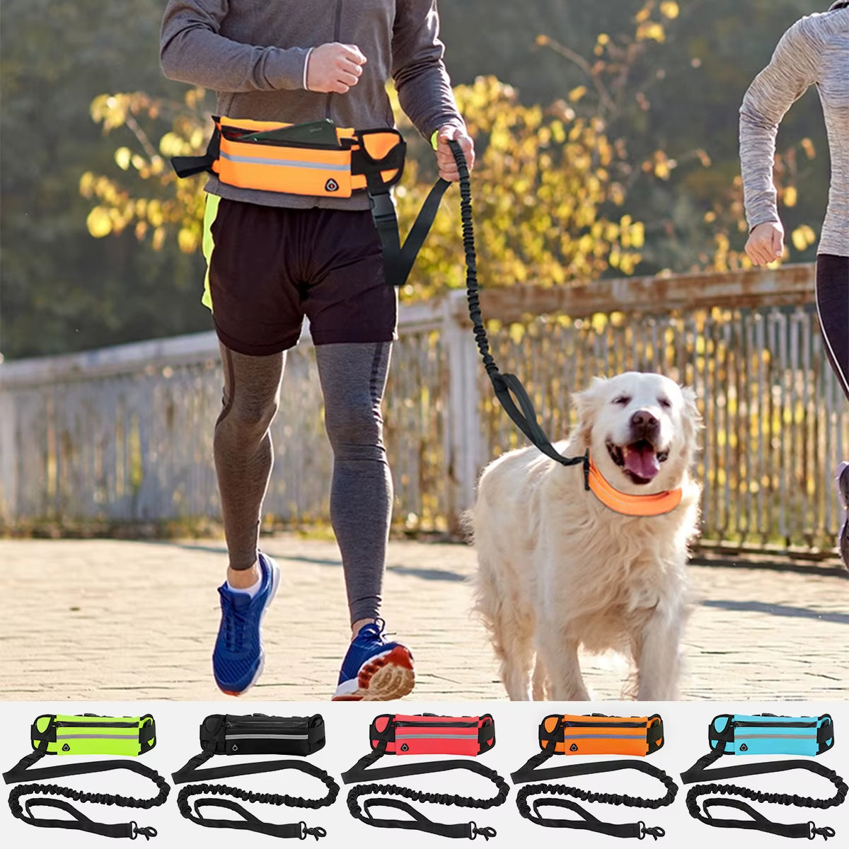 Hands-Free Reflective Dog Leash with Waist Bag and Elastic Belt for Running and Walking
